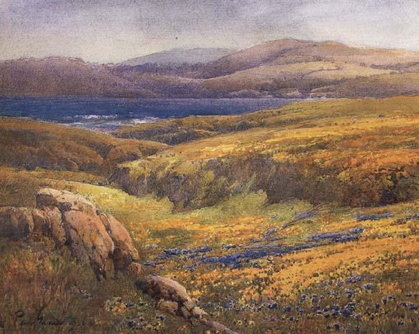 unknow artist Point Lobos in the Springtime France oil painting art